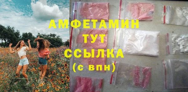PSILOCYBIN Алзамай