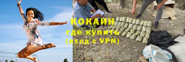 винт Няндома